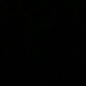 Meet your Posher, Will